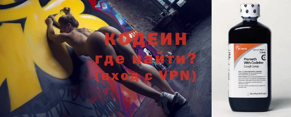 мяу мяу мука Кодинск