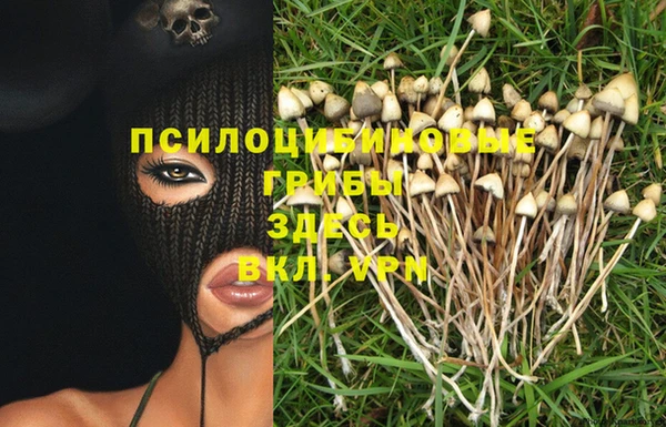 ALPHA PVP Козельск