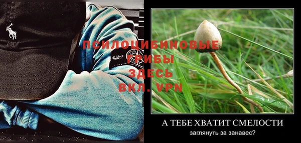 мяу мяу мука Кодинск