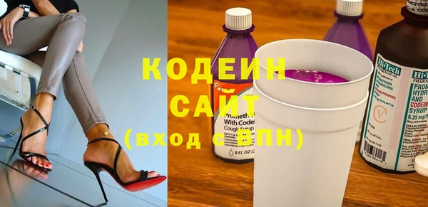 индика Корсаков