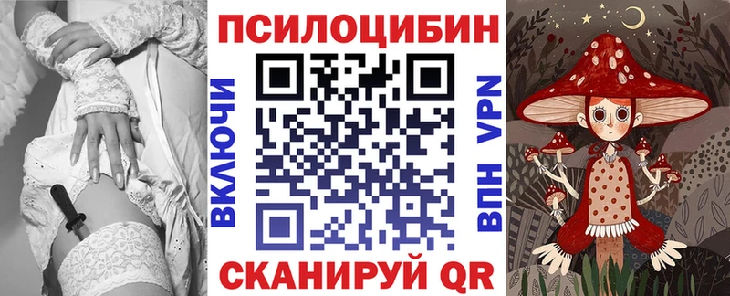 как найти   Киренск  Псилоцибиновые грибы MAGIC MUSHROOMS 